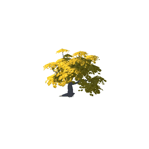 Maple Tree Yellow Big 03